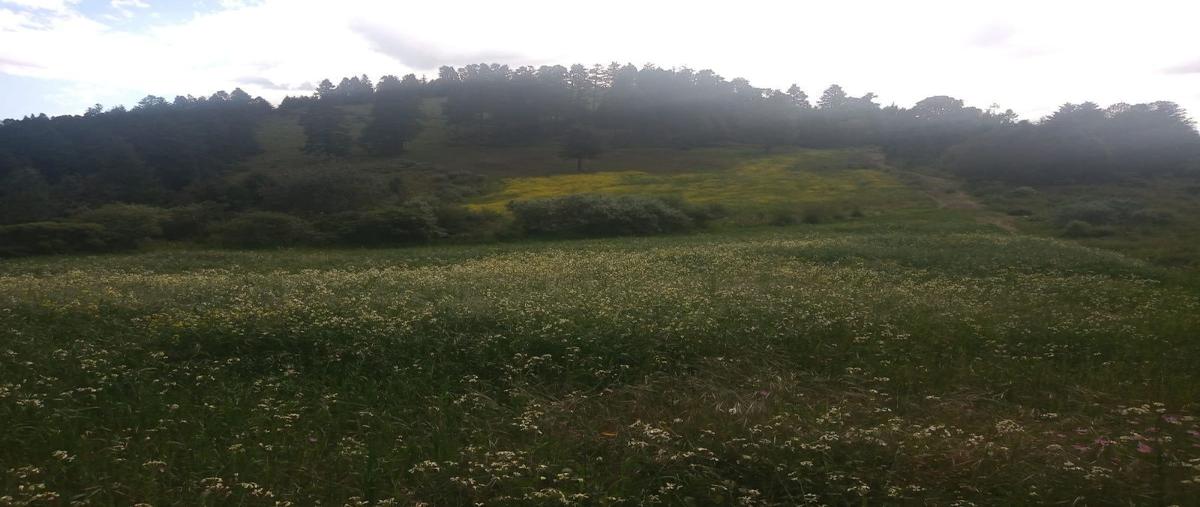 Foto de terreno habitacional en venta en  , san miguel, huixquilucan, méxico, 25436776 No. 05