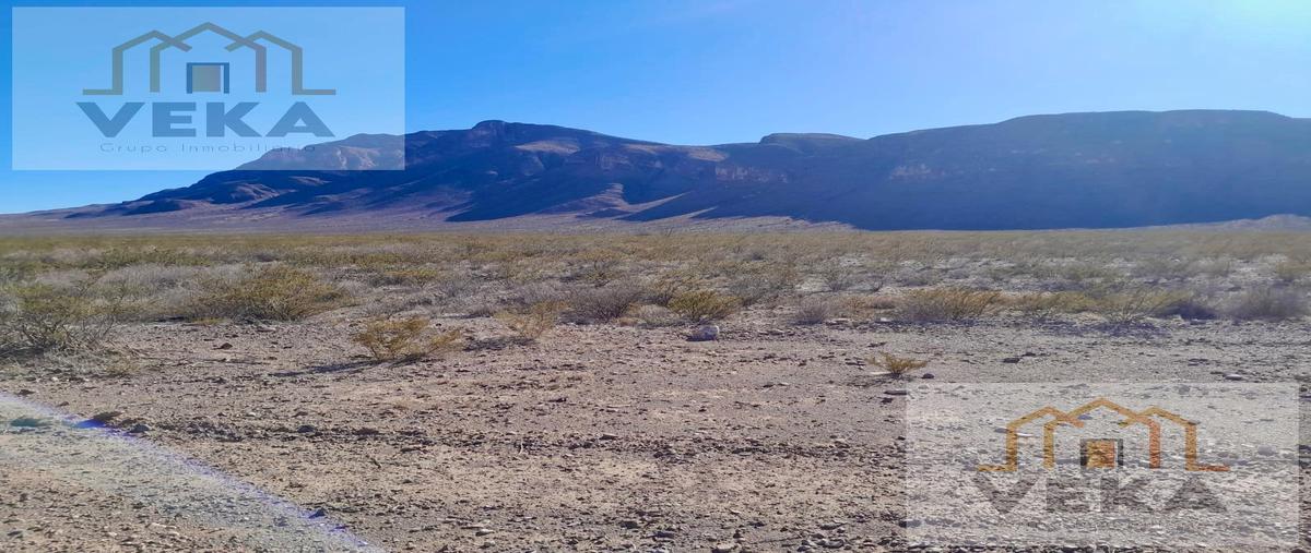 Foto de rancho en venta en  , san miguel, jiménez, chihuahua, 28662665 No. 03