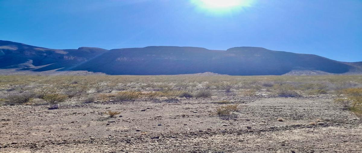 Foto de rancho en venta en  , san miguel, jiménez, chihuahua, 28662665 No. 04