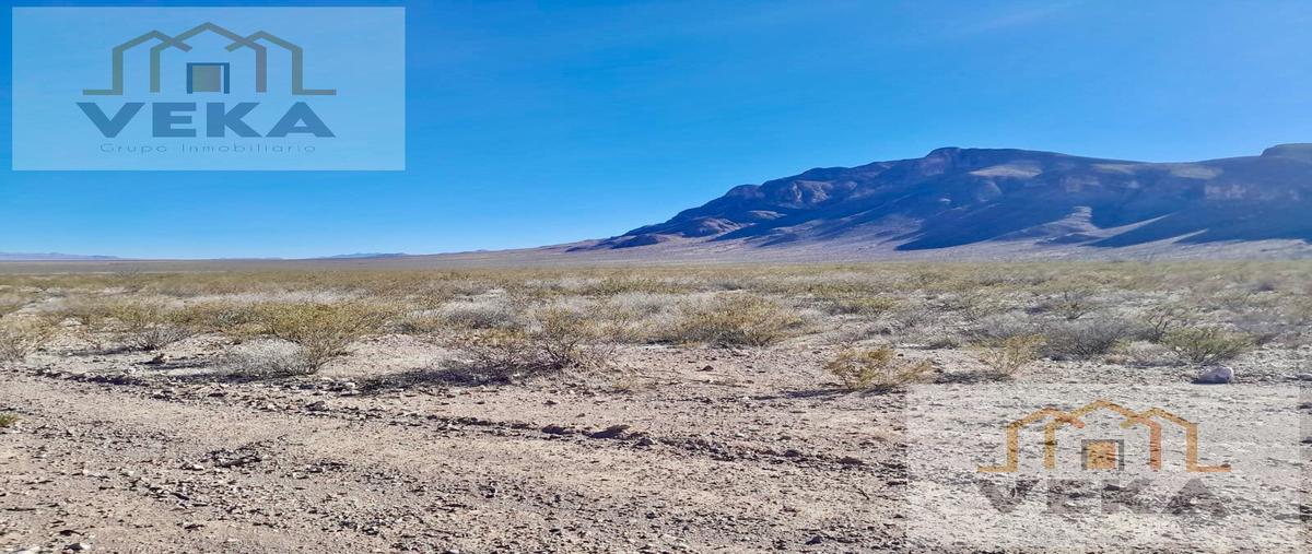 Foto de rancho en venta en  , san miguel, jiménez, chihuahua, 28662665 No. 05