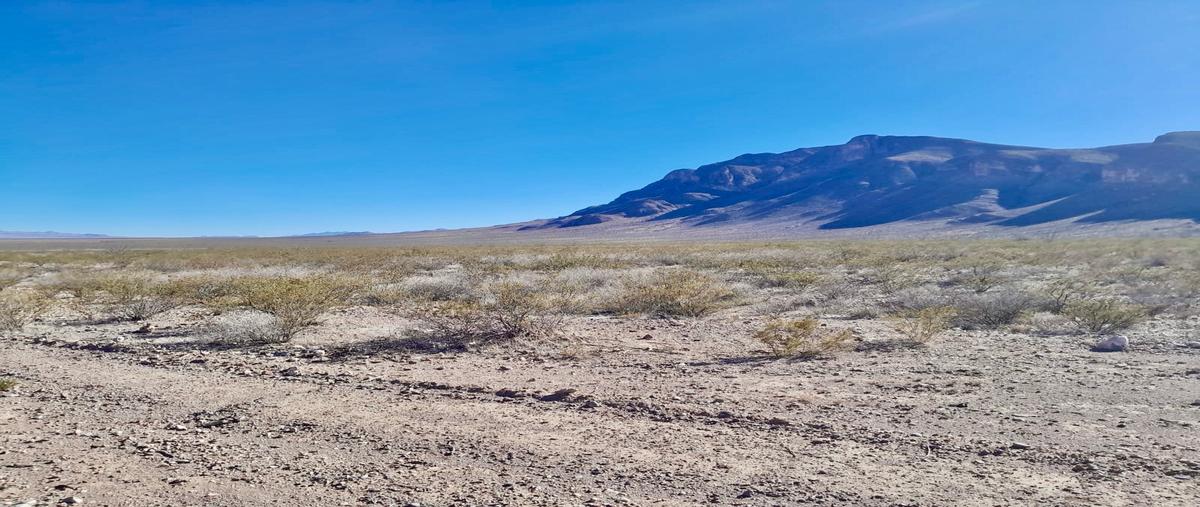 Foto de rancho en venta en  , san miguel, jiménez, chihuahua, 28662665 No. 05