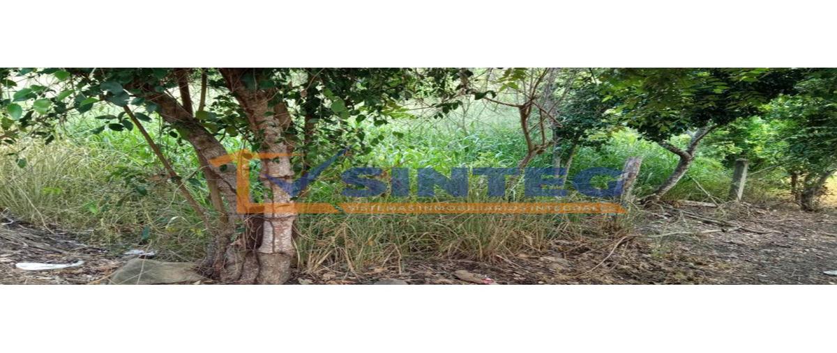 Foto de terreno habitacional en venta en  , san miguel mecatepec, tihuatlán, veracruz de ignacio de la llave, 0 No. 03