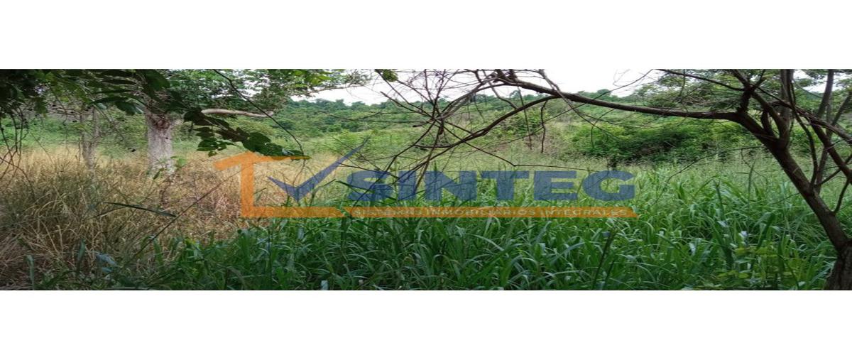 Foto de terreno habitacional en venta en  , san miguel mecatepec, tihuatlán, veracruz de ignacio de la llave, 0 No. 05