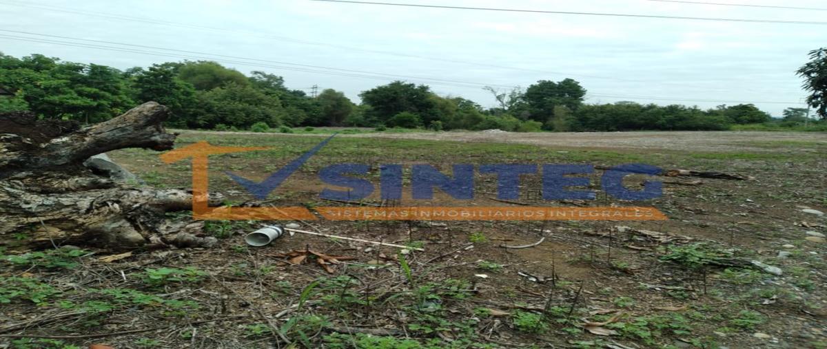 Foto de terreno habitacional en venta en  , san miguel mecatepec, tihuatlán, veracruz de ignacio de la llave, 0 No. 05