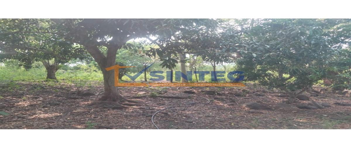 Foto de terreno habitacional en venta en  , san miguel mecatepec, tihuatlán, veracruz de ignacio de la llave, 0 No. 03