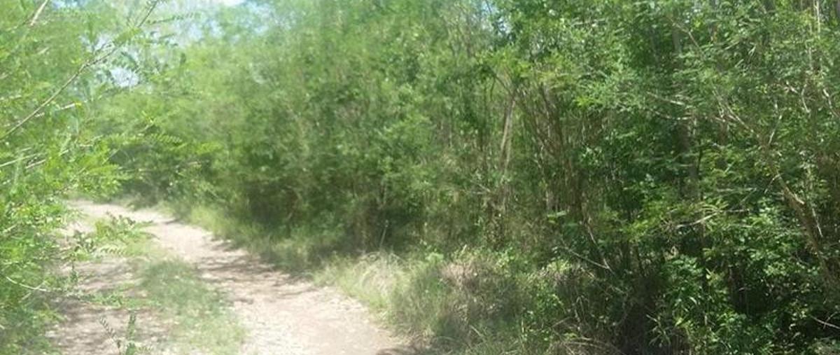 Foto de casa en venta en  , san miguel, montemorelos, nuevo león, 11736703 No. 03