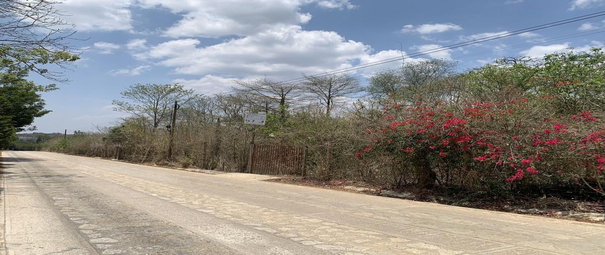 Foto de terreno habitacional en venta en san miguel , san miguel, berriozábal, chiapas, 0 No. 03