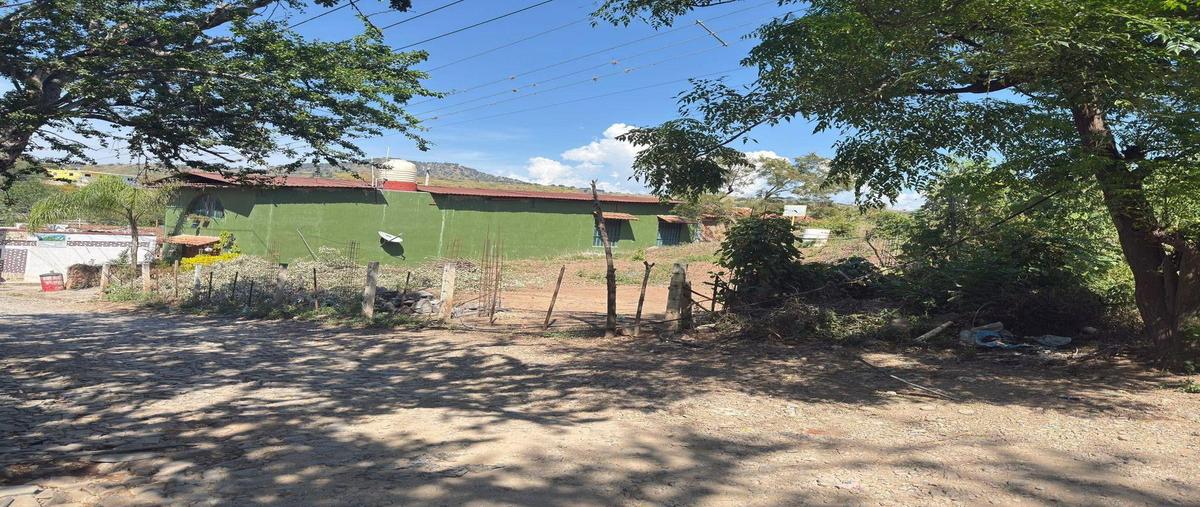 Foto de terreno habitacional en venta en  , san miguel tateposco, zapopan, jalisco, 0 No. 03