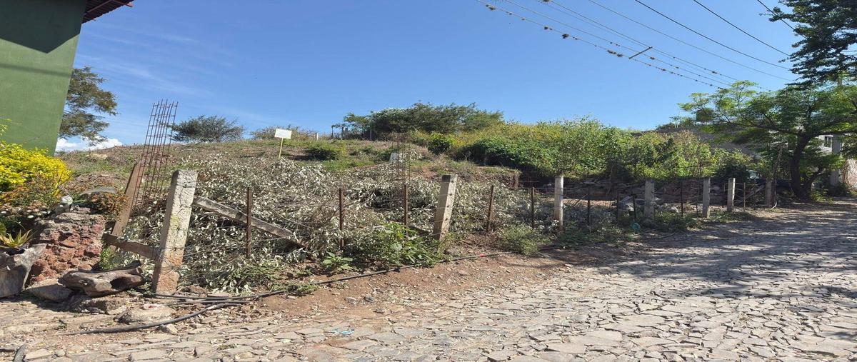 Foto de terreno habitacional en venta en  , san miguel tateposco, zapopan, jalisco, 0 No. 04