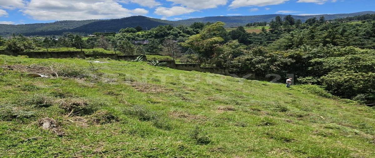 Foto de terreno habitacional en venta en  , san miguel tecpan, jilotzingo, méxico, 0 No. 03
