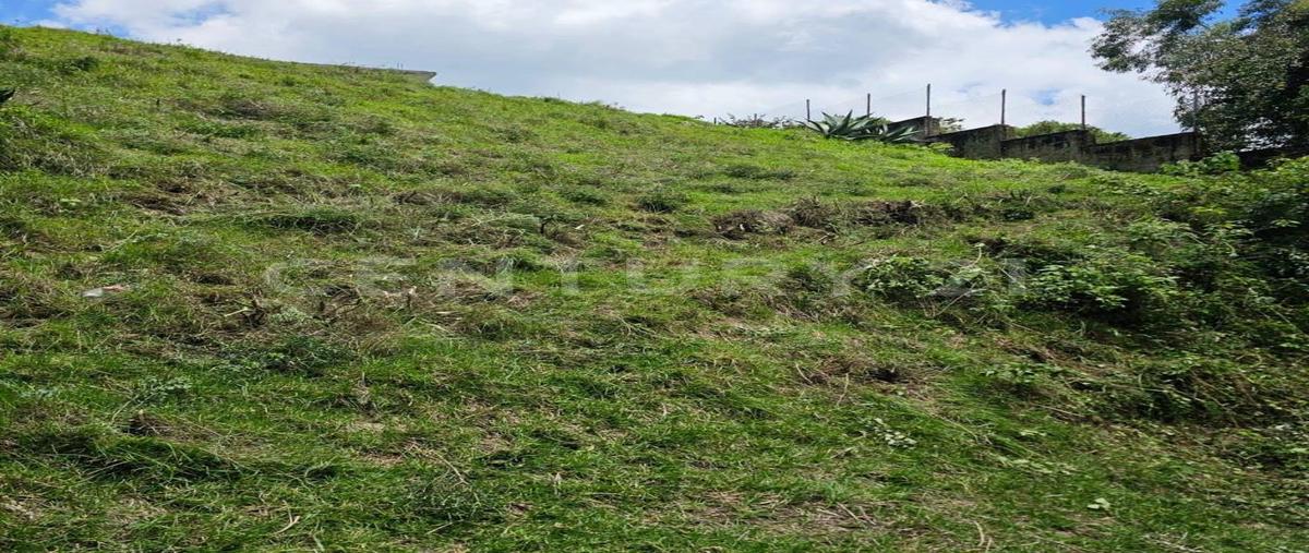 Foto de terreno habitacional en venta en  , san miguel tecpan, jilotzingo, méxico, 0 No. 05