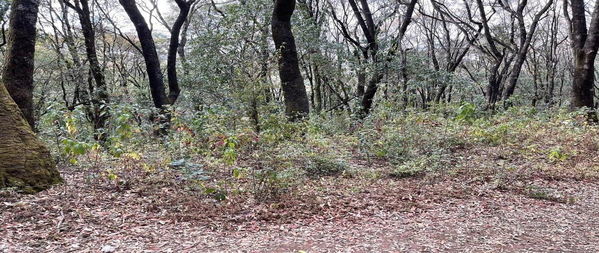 Foto de terreno comercial en san miguel tecpan , santa ana jilotzingo, jilotzingo, méxico, 28057456 foto 01 Foto de terreno comercial en venta en san miguel tecpan , santa ana jilotzingo, jilotzingo, méxico, 28057456 No. 01