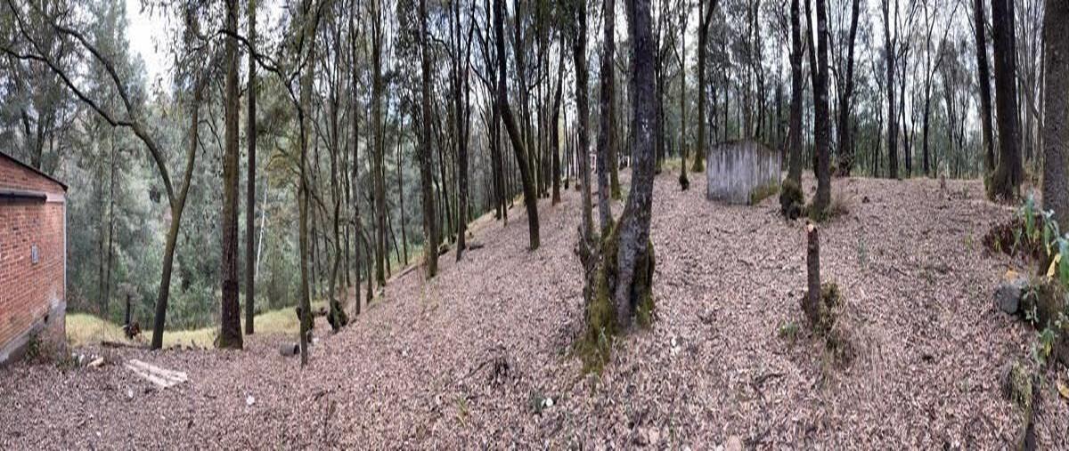 Foto de terreno comercial en san miguel tecpan , santa ana jilotzingo, jilotzingo, méxico, 28057456 foto 05 Foto de terreno comercial en venta en san miguel tecpan , santa ana jilotzingo, jilotzingo, méxico, 28057456 No. 05