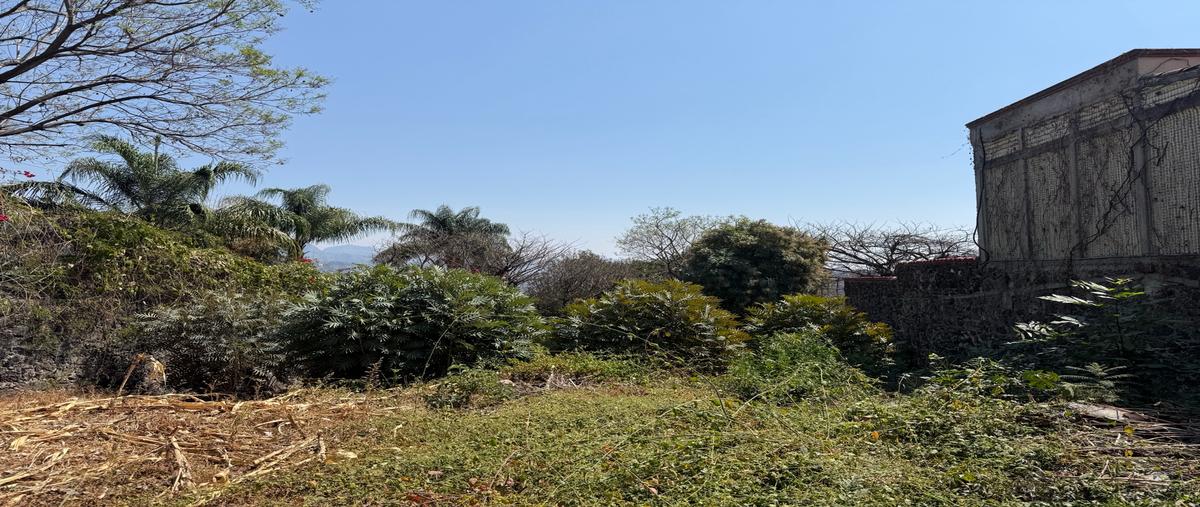 Foto de terreno habitacional en venta en  , san miguel, tepoztlán, morelos, 0 No. 03