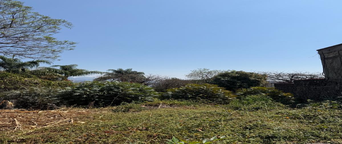 Foto de terreno habitacional en venta en  , san miguel, tepoztlán, morelos, 0 No. 04