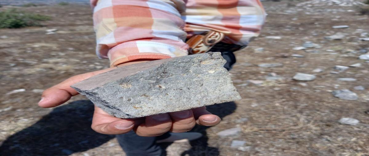 Foto de terreno industrial en , san miguel, tequixquiac, méxico, 26155290 foto 03 Foto de terreno industrial en venta en , san miguel, tequixquiac, méxico, 26155290 No. 03