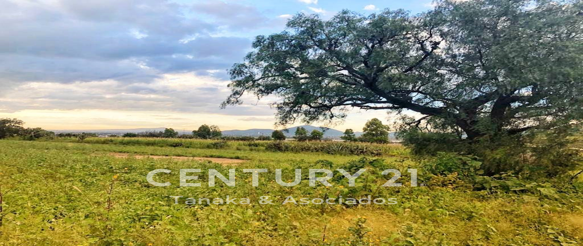 Foto de terreno habitacional en venta en  , san miguel tlaixpan, texcoco, méxico, 21994538 No. 04