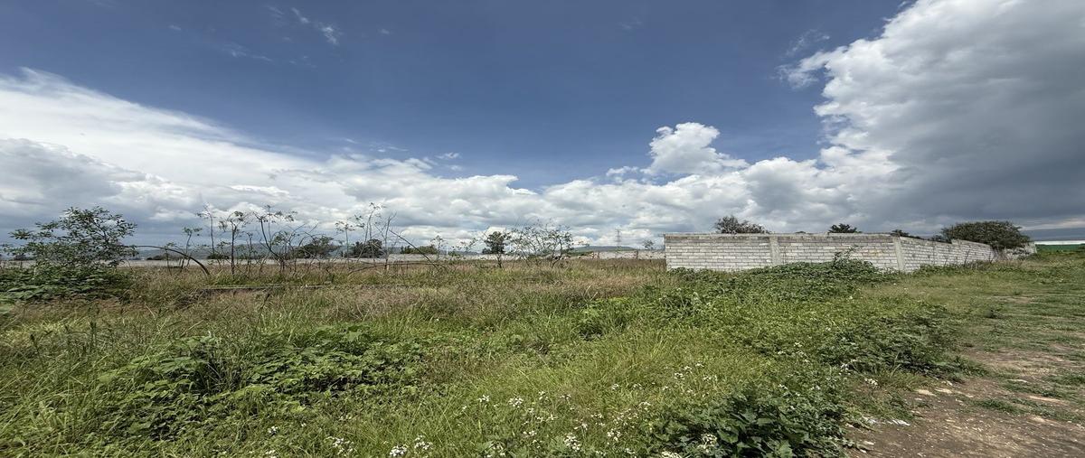 Foto de terreno habitacional en venta en  , san miguel tlaixpan, texcoco, méxico, 0 No. 01