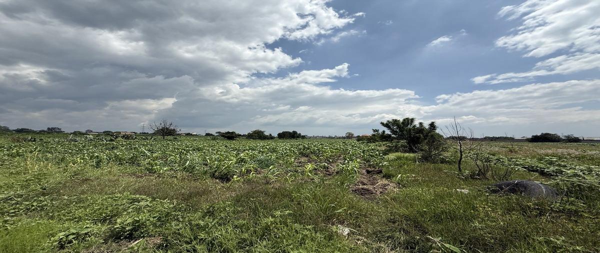 Foto de terreno habitacional en venta en  , san miguel tlaixpan, texcoco, méxico, 0 No. 02