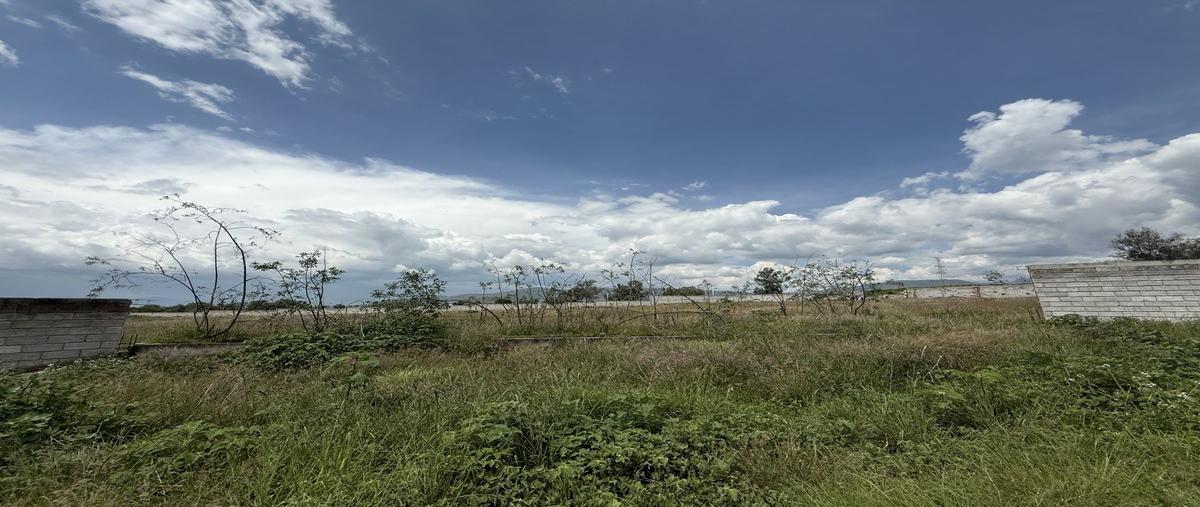 Foto de terreno habitacional en venta en  , san miguel tlaixpan, texcoco, méxico, 0 No. 03