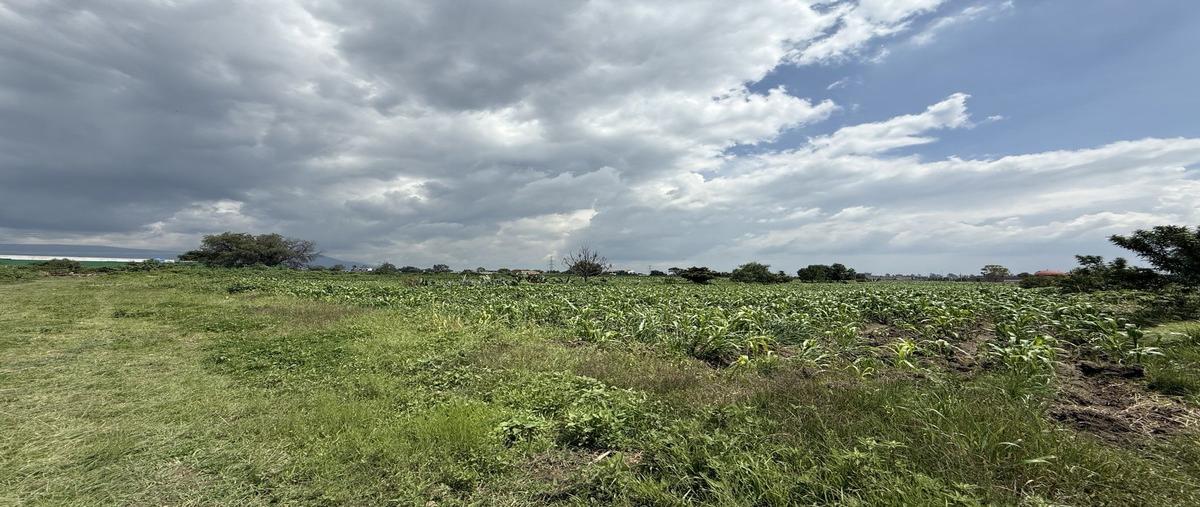 Foto de terreno habitacional en venta en  , san miguel tlaixpan, texcoco, méxico, 0 No. 04