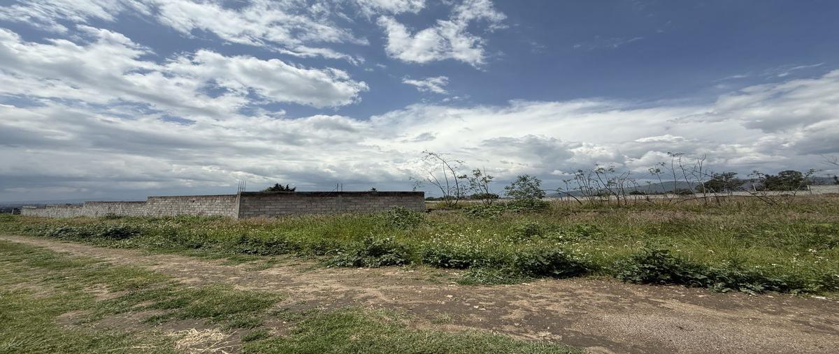 Foto de terreno habitacional en venta en  , san miguel tlaixpan, texcoco, méxico, 0 No. 05