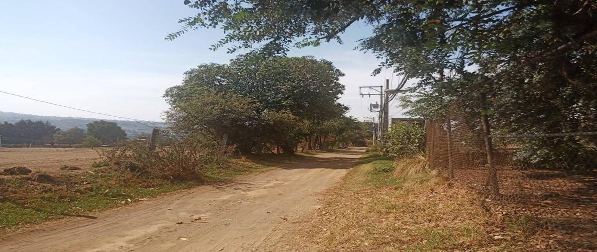 Foto de terreno habitacional en venta en  , san miguel topilejo, tlalpan, df / cdmx, 28227714 No. 05