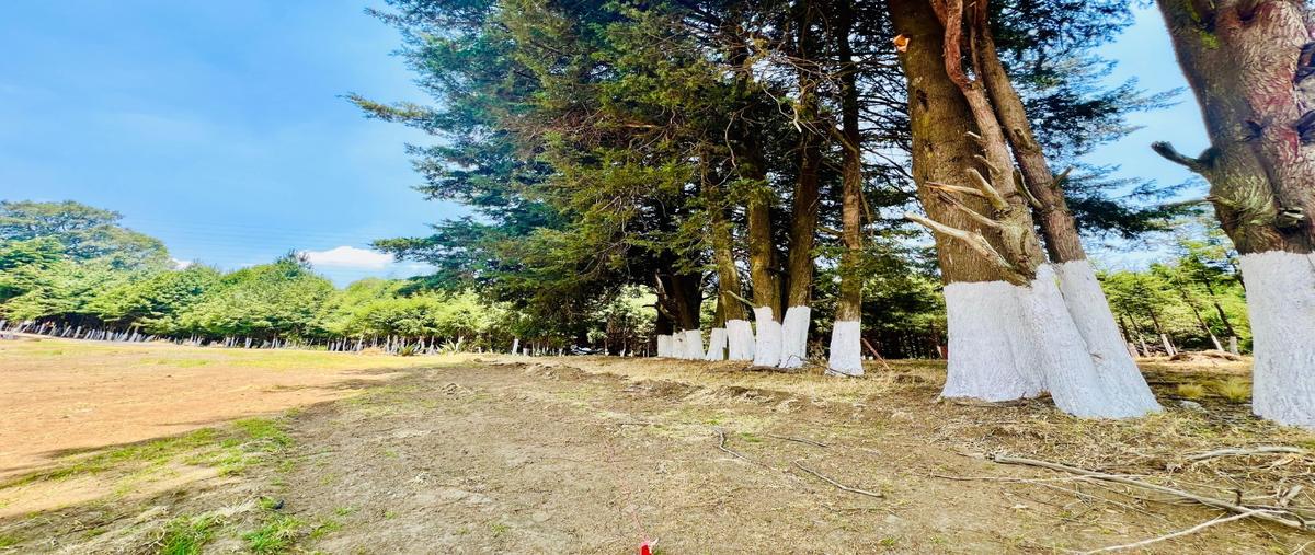 Foto de terreno habitacional en , san miguel topilejo, tlalpan, df / cdmx, 0 foto 04 Foto de terreno habitacional en venta en , san miguel topilejo, tlalpan, df / cdmx, 0 No. 04