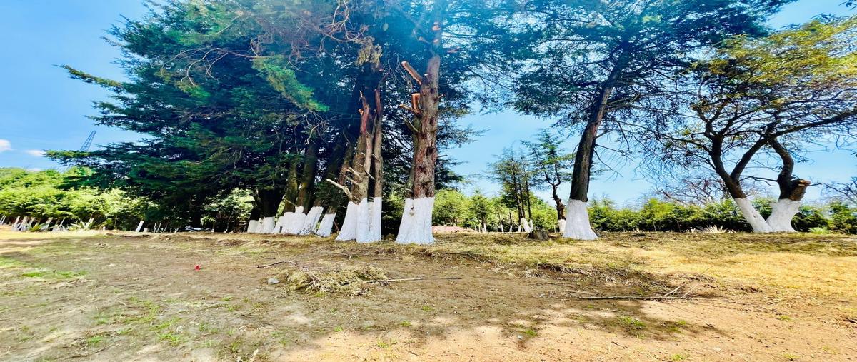 Foto de terreno habitacional en , san miguel topilejo, tlalpan, df / cdmx, 0 foto 05 Foto de terreno habitacional en venta en , san miguel topilejo, tlalpan, df / cdmx, 0 No. 05