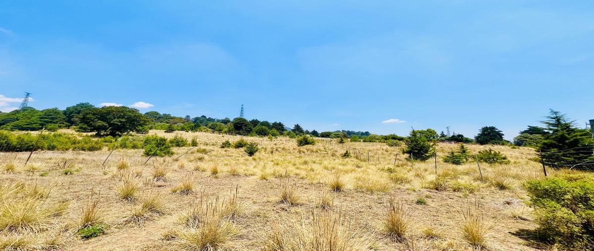 Foto de terreno habitacional en venta en  , san miguel topilejo, tlalpan, df / cdmx, 0 No. 04