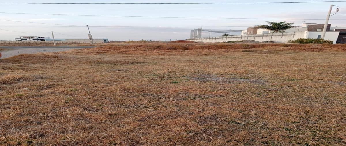 Foto de terreno habitacional en venta en  , san miguel totocuitlapilco, metepec, méxico, 0 No. 03