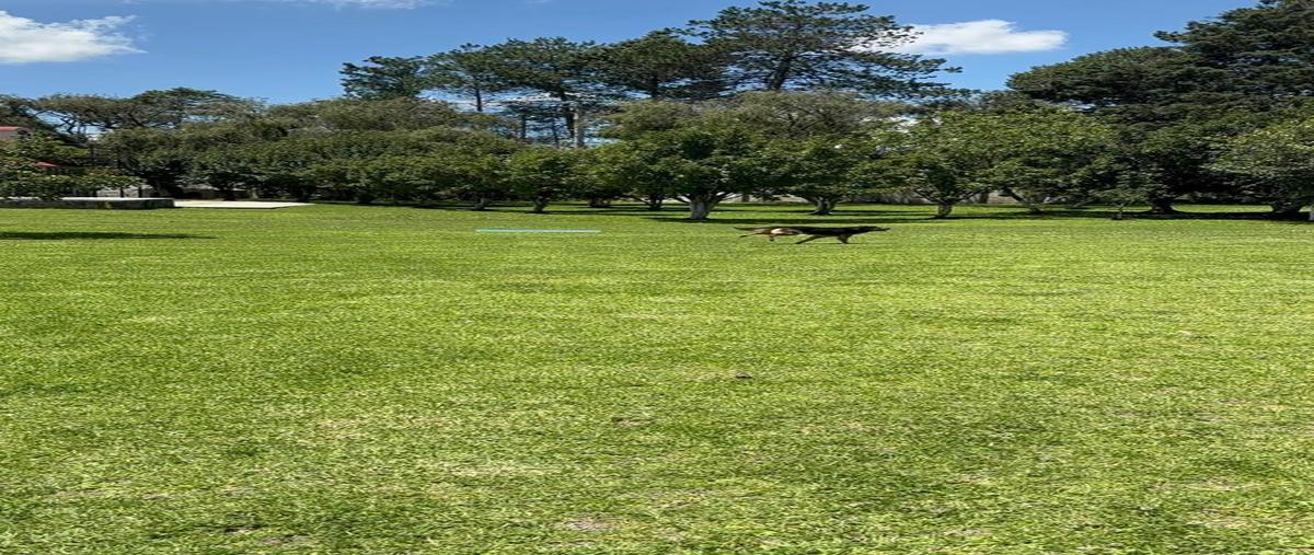 Foto de terreno habitacional en venta en  , san miguel totocuitlapilco, metepec, méxico, 30145106 No. 03