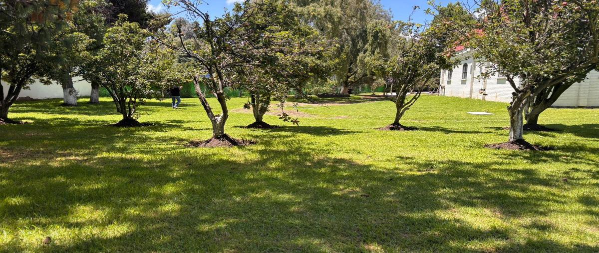 Foto de terreno habitacional en venta en  , san miguel totocuitlapilco, metepec, méxico, 30145106 No. 04