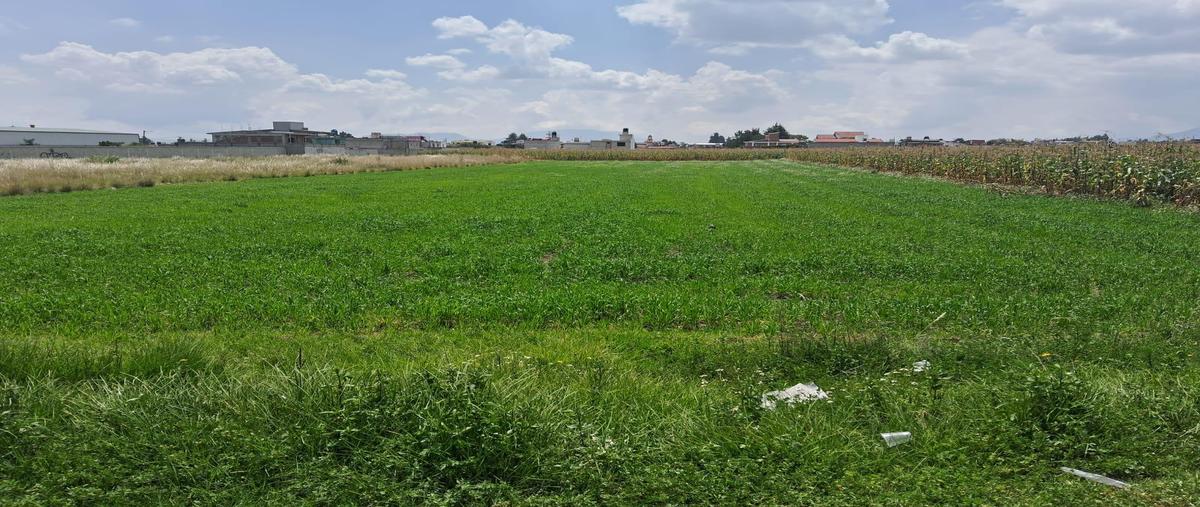 Foto de terreno habitacional en , san miguel totocuitlapilco, metepec, méxico, 30371628 foto 03 Foto de terreno habitacional en venta en , san miguel totocuitlapilco, metepec, méxico, 30371628 No. 03