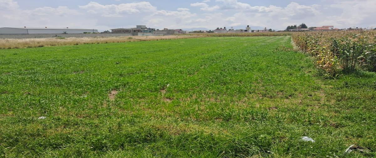 Foto de terreno habitacional en , san miguel totocuitlapilco, metepec, méxico, 30371628 foto 05 Foto de terreno habitacional en venta en , san miguel totocuitlapilco, metepec, méxico, 30371628 No. 05