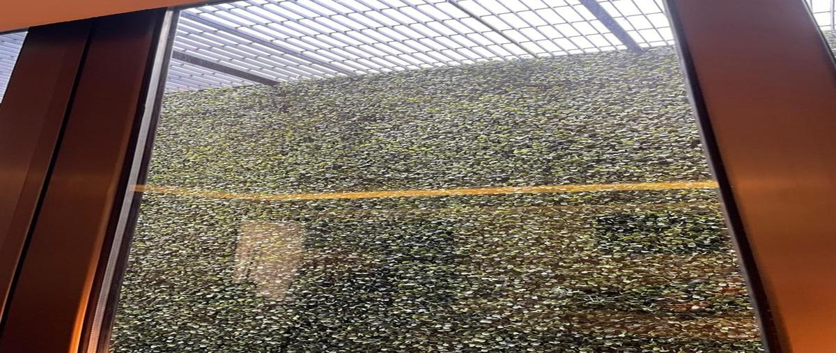 Foto de casa en , san miguel totocuitlapilco, metepec, méxico, 0 foto 05 Foto de casa en venta en , san miguel totocuitlapilco, metepec, méxico, 0 No. 05