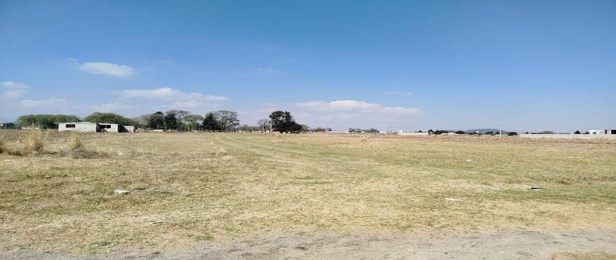 Foto de terreno habitacional en renta en  , san miguel totocuitlapilco, metepec, méxico, 30853347 No. 03