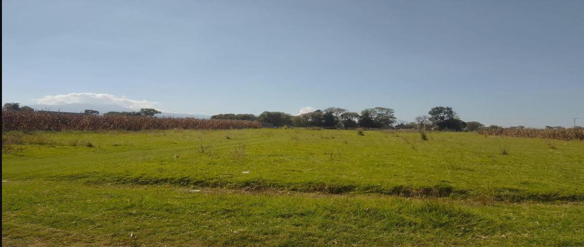 Foto de terreno habitacional en renta en  , san miguel totocuitlapilco, metepec, méxico, 30853347 No. 04