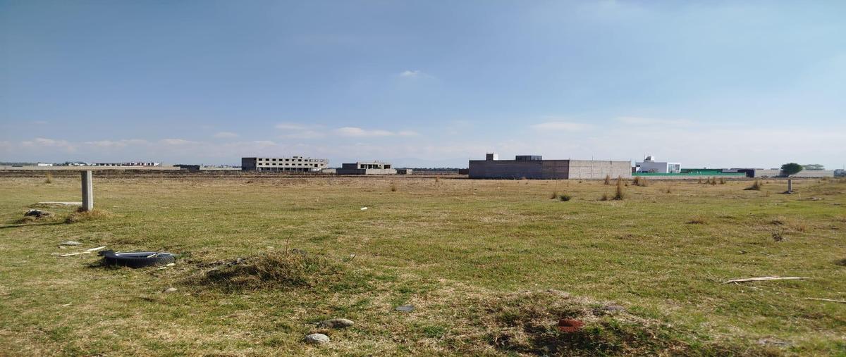 Foto de terreno habitacional en renta en  , san miguel totocuitlapilco, metepec, méxico, 30853347 No. 05