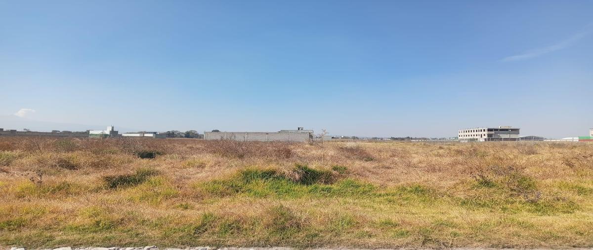 Foto de terreno habitacional en venta en  , san miguel totocuitlapilco, metepec, méxico, 0 No. 03