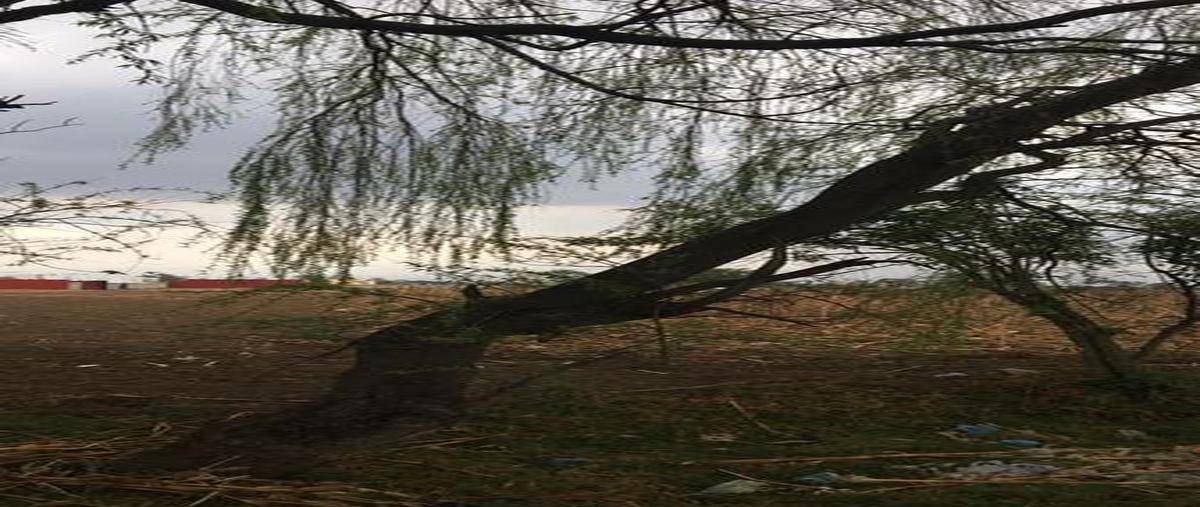 Foto de terreno habitacional en venta en  , san miguel totocuitlapilco, metepec, méxico, 8088715 No. 05