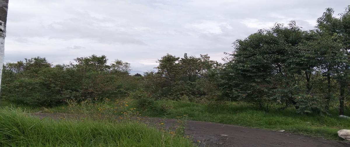 Foto de terreno industrial en venta en  , san miguel totoltepec, toluca, méxico, 30421597 No. 03