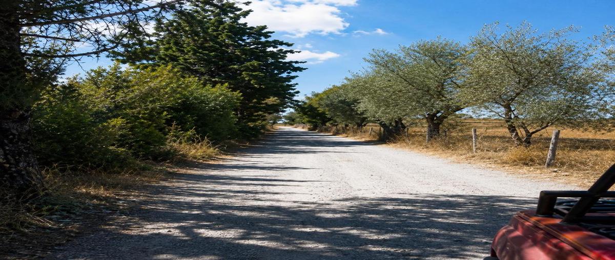 Foto de terreno habitacional en venta en  , san miguel viejo, san miguel de allende, guanajuato, 0 No. 04