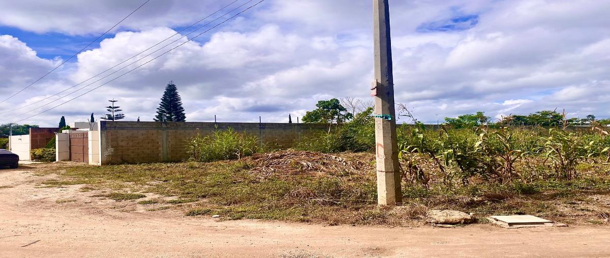 Foto de terreno habitacional en san miguel whi288688, san miguel, berriozábal, chiapas, 25588810 foto 02 Foto de terreno habitacional en venta en san miguel whi288688, san miguel, berriozábal, chiapas, 25588810 No. 02