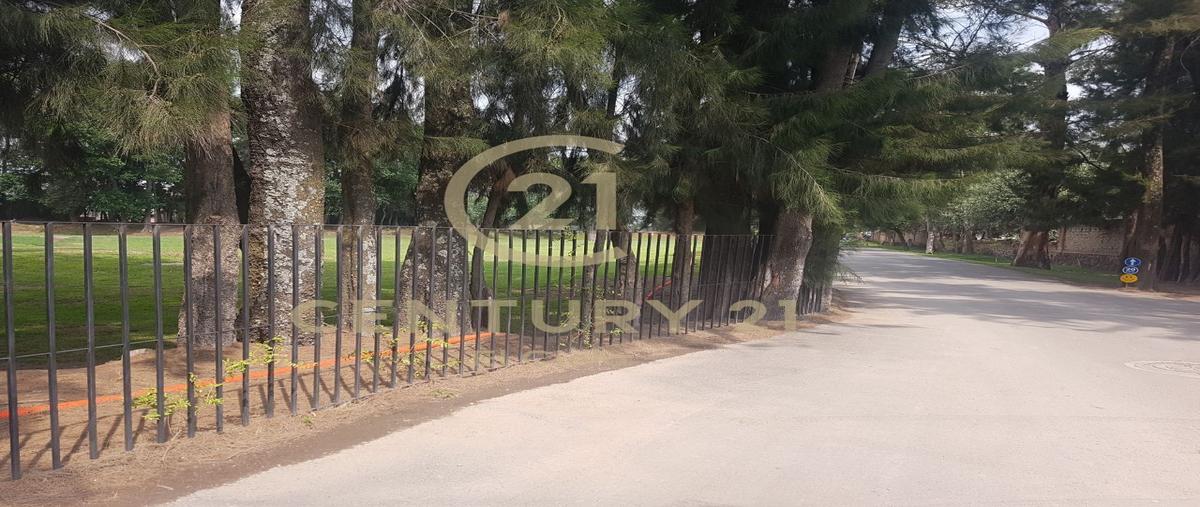 Foto de terreno habitacional en venta en  , san miguel xoxtla, san miguel xoxtla, puebla, 24818179 No. 05