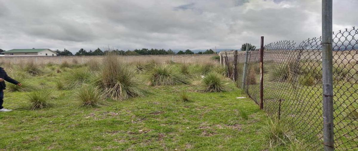 Foto de terreno habitacional en venta en san miguel zacango 0, san miguel zacango, toluca, méxico, 21463410 No. 04