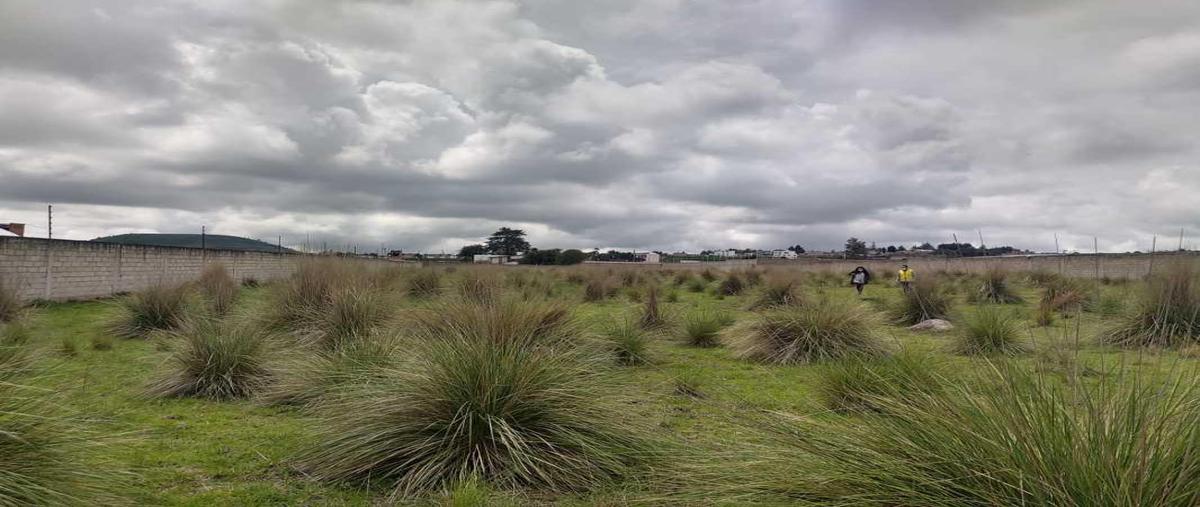 Foto de terreno habitacional en venta en san miguel zacango 0, san miguel zacango, toluca, méxico, 21463410 No. 05