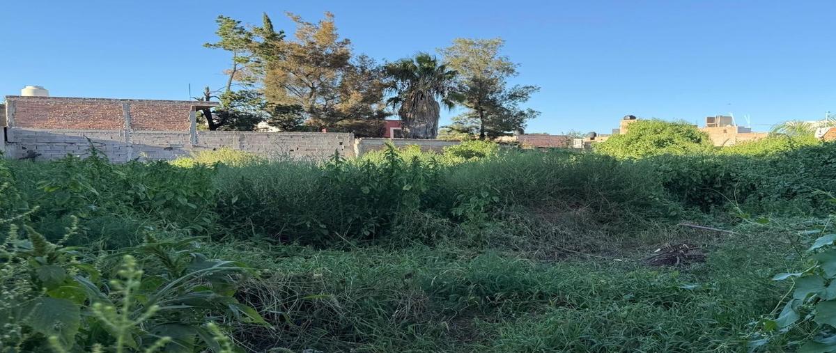 Foto de terreno habitacional en venta en  , san miguelito, san luis potosí, san luis potosí, 30337144 No. 03
