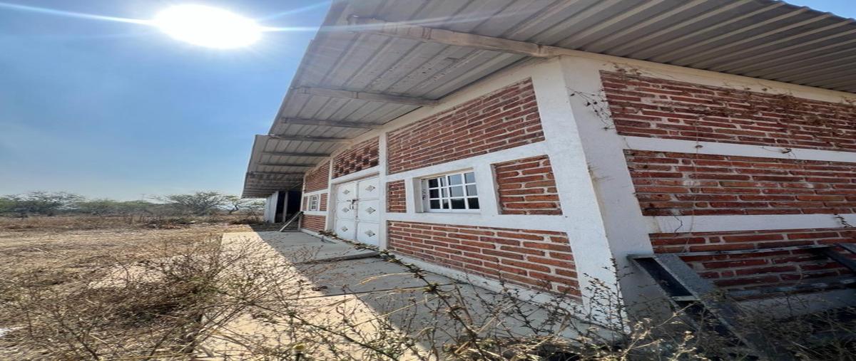 Foto de terreno habitacional en venta en  , san nicolás, cocula, jalisco, 0 No. 04
