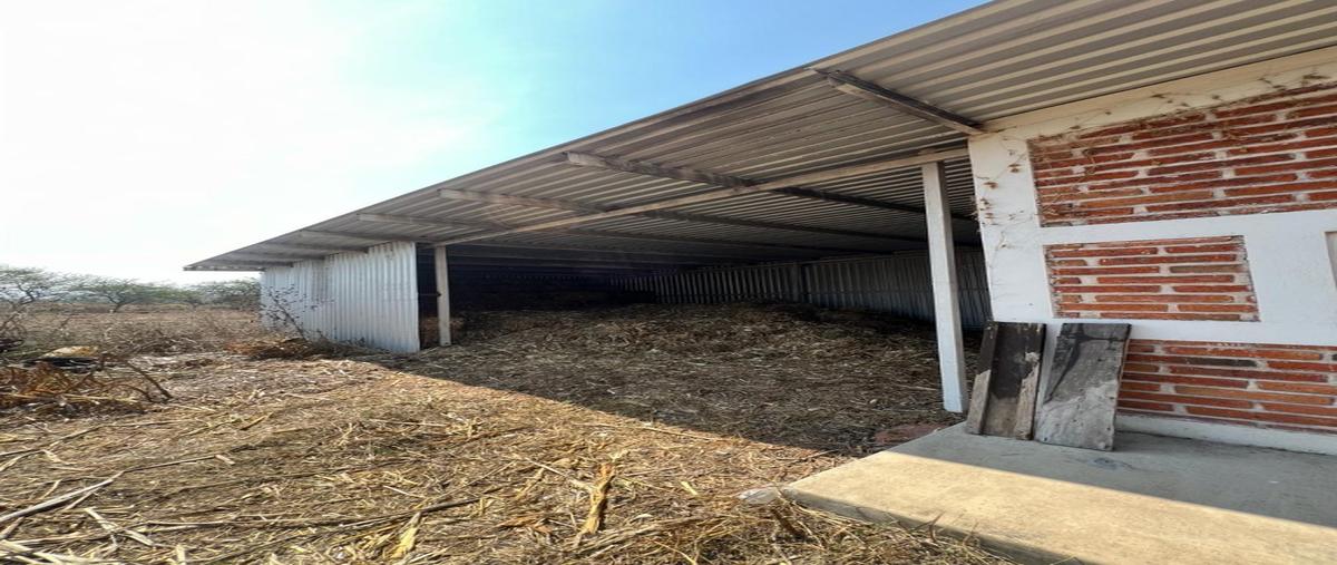 Foto de terreno habitacional en venta en  , san nicolás, cocula, jalisco, 0 No. 05